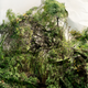 Illustration for article titled Deformed Landscape Photos Will Twist Your Sense of Reality